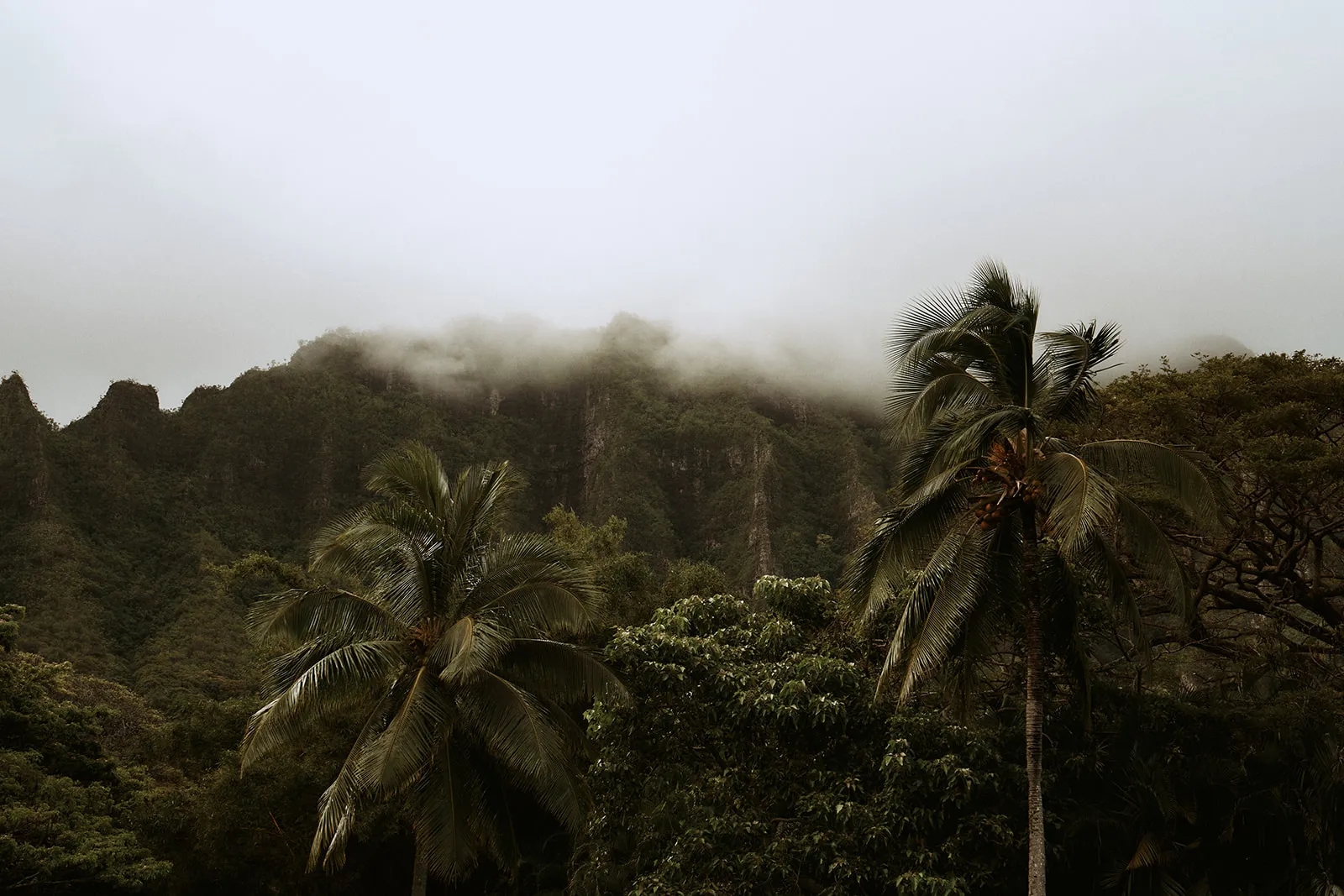 Ceremony - Wedding at Kualoa Ranch in Honolulu, Hawaii