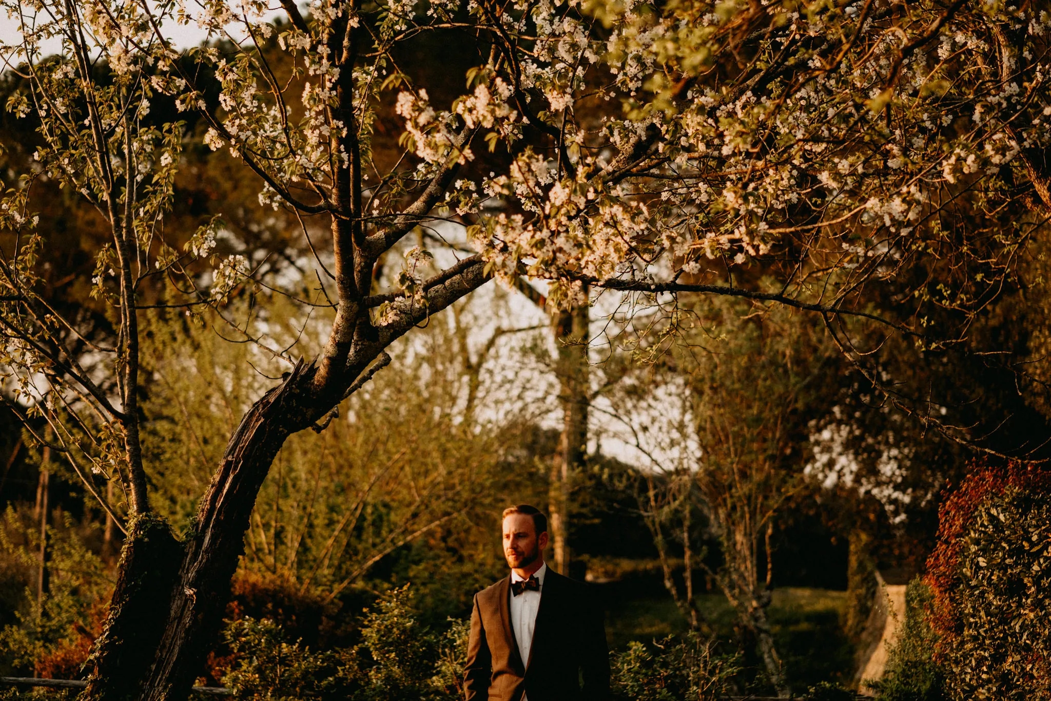 Wedding at Borgo Stomennano, Tuscany - Reception