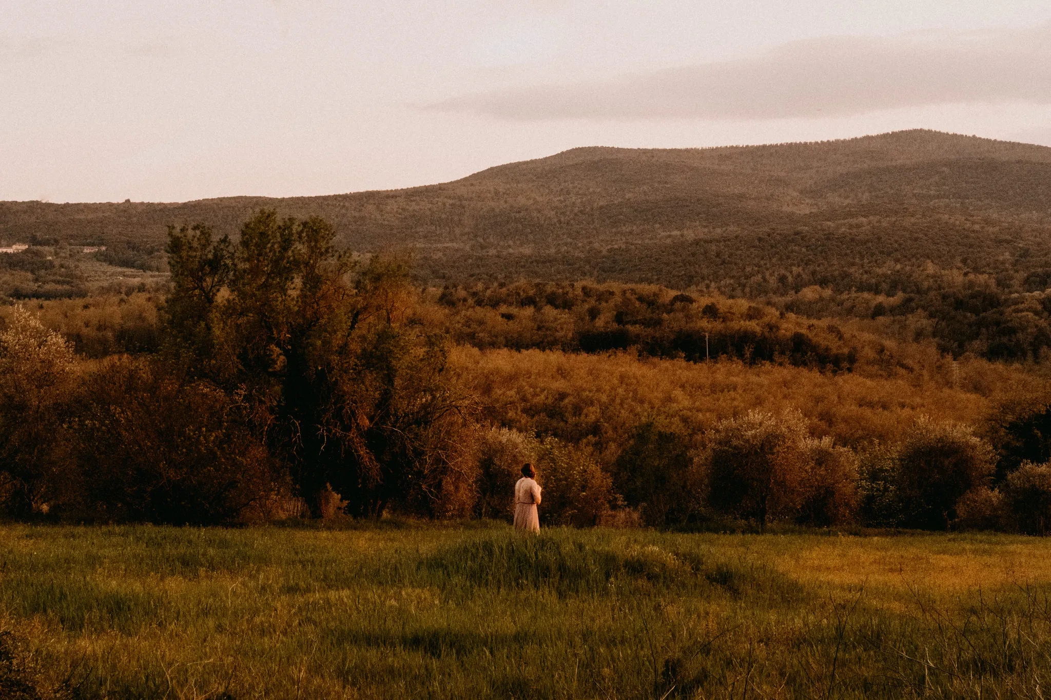 Wedding at Borgo Stomennano, Tuscany - Reception